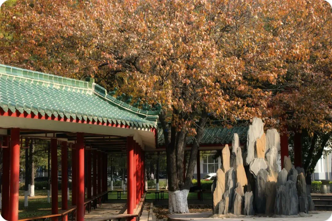 制定篮球交流计划以促进个人技能发展的方法_2